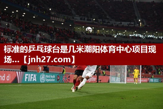 标准的乒乓球台是几米潮阳体育中心项目现场…