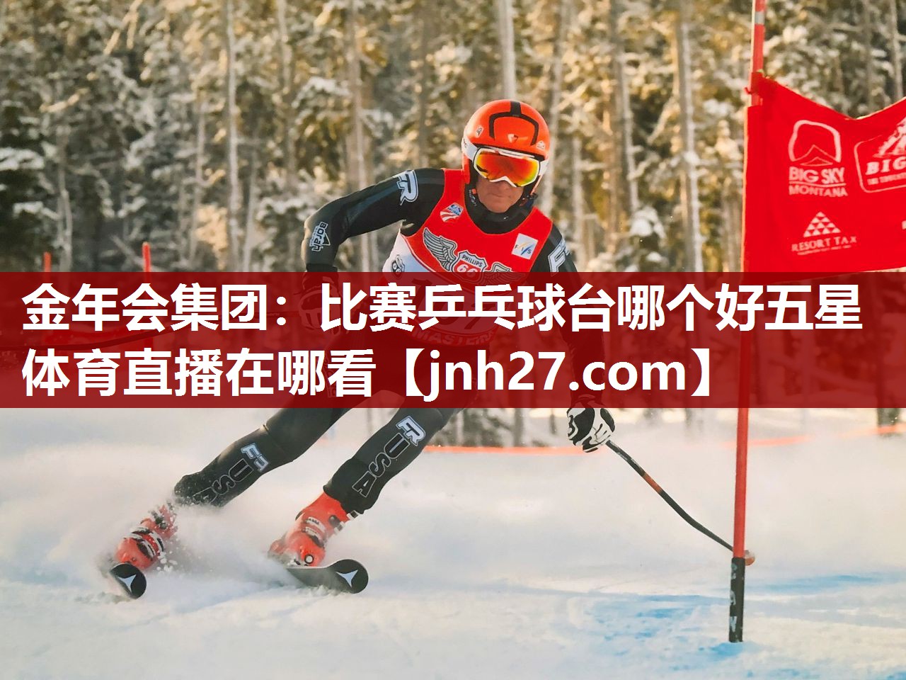 金年会集团：比赛乒乓球台哪个好五星体育直播在哪看